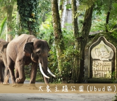 大象主題公園Elephant Safari Park